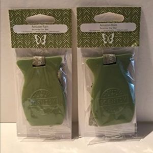 Scentsy 2pk Amazon Rain Car Bar Air Freshener